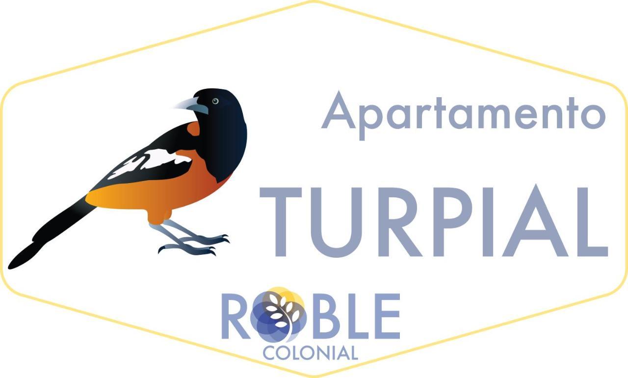 Roble Colonial Apartment *