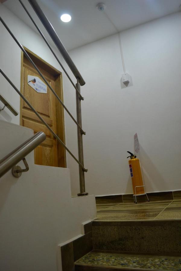 Apartment Roble Colonial