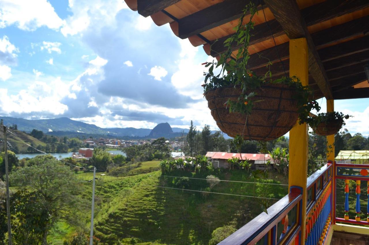 Roble Colonial *