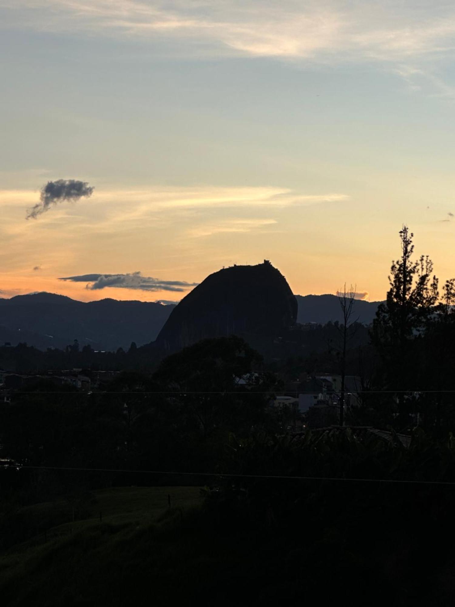 Roble Colonial